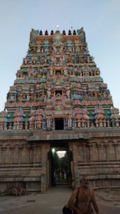 DD 26 - Rajagopuram